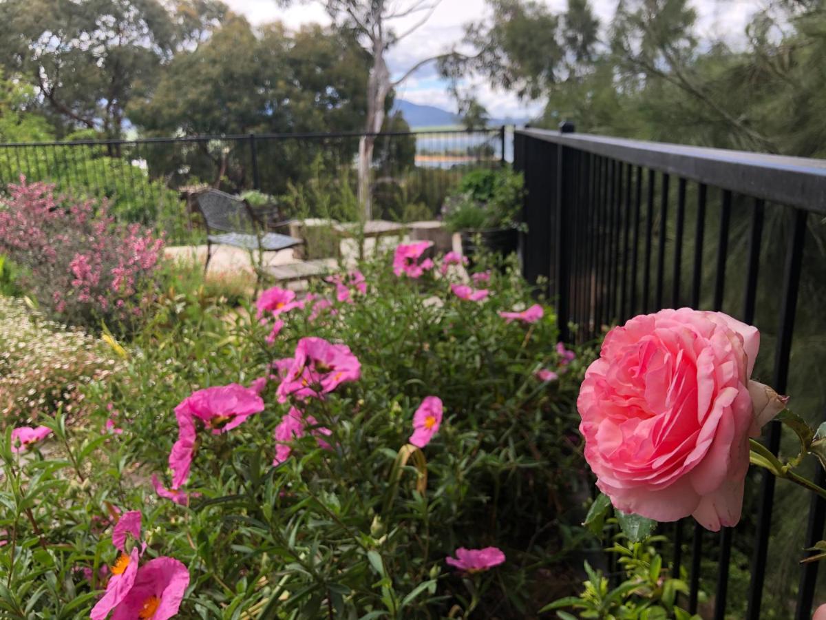 Troldhaugen Lodge - Adults Only Jindabyne Exterior photo